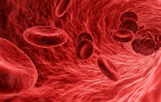 blood flow